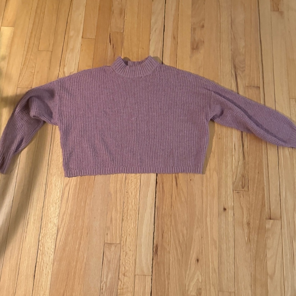 Hollister Cropped Sweater with High Neck